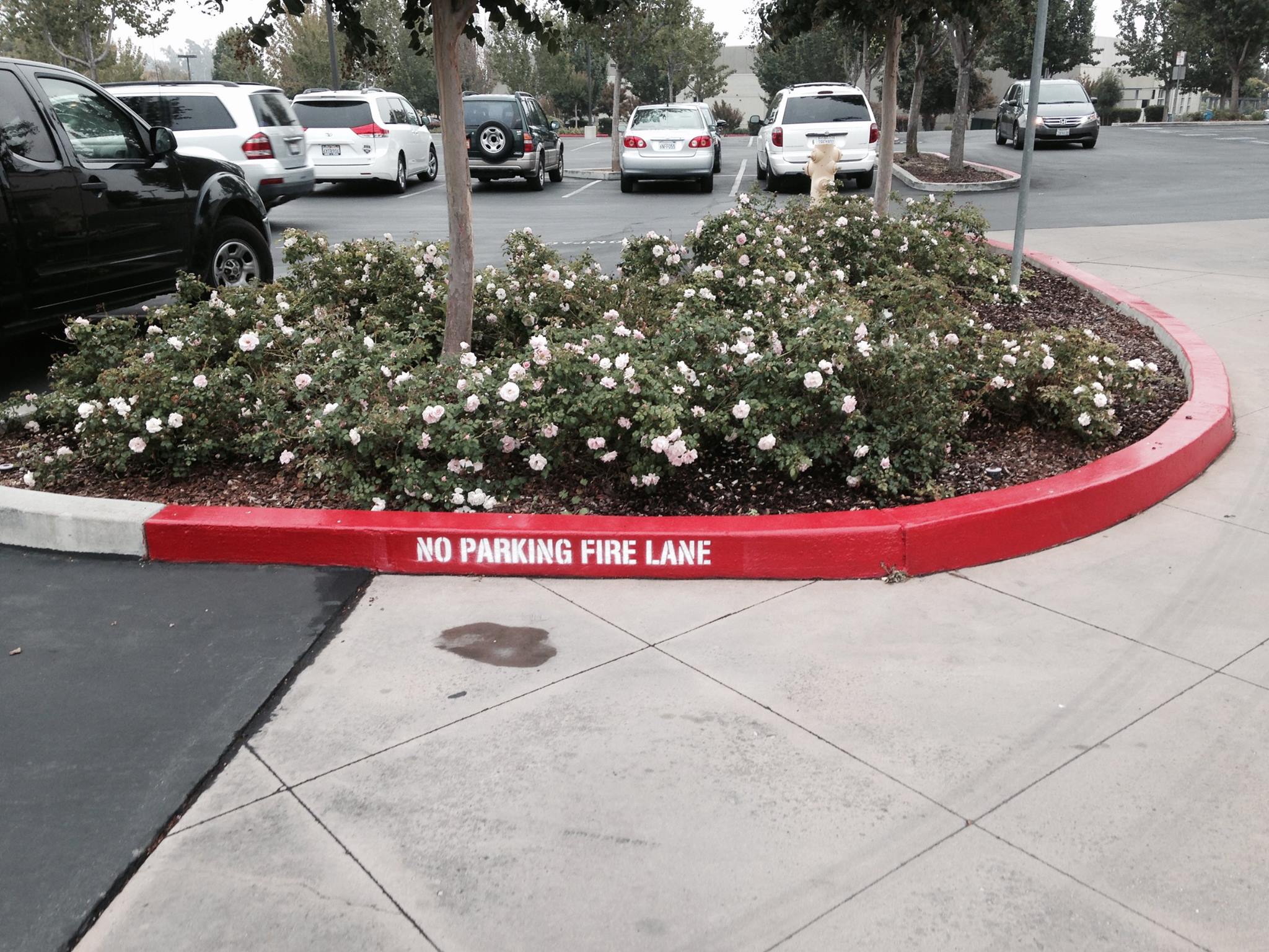 Commercial curb painting